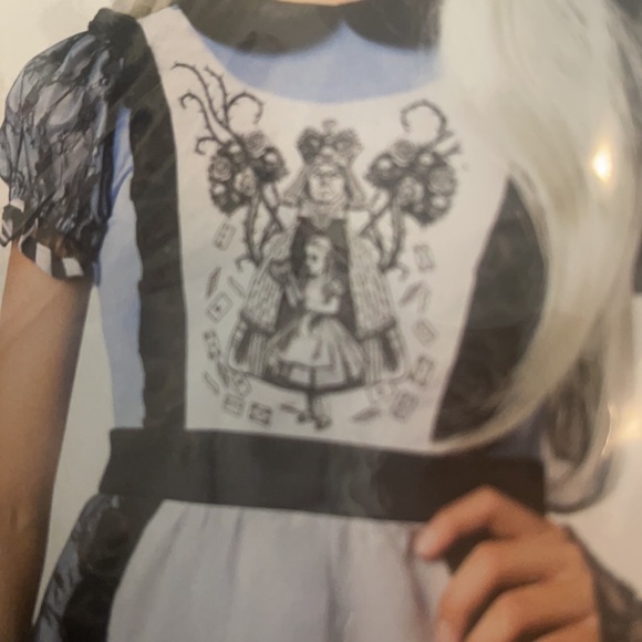 Malice in Wonderland costume - Picture 3 of 6